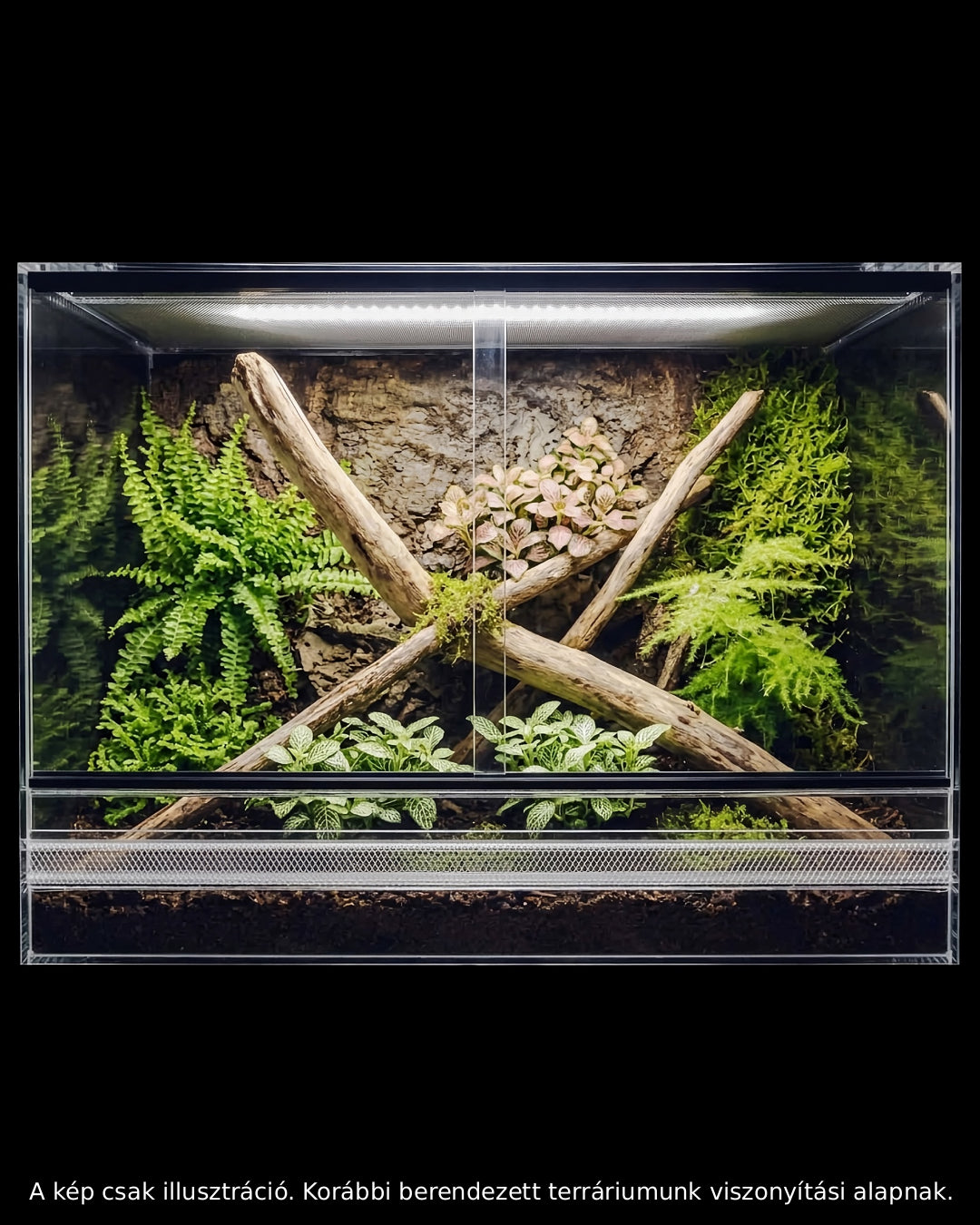 Terrárium 100x50x50cm